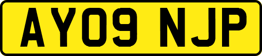 AY09NJP
