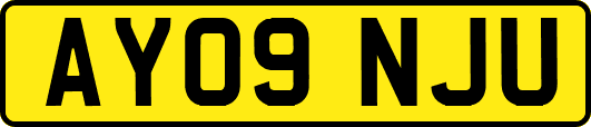 AY09NJU
