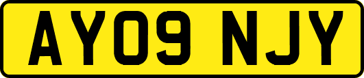 AY09NJY