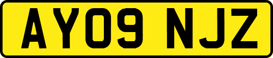 AY09NJZ