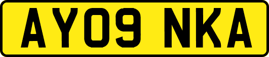 AY09NKA