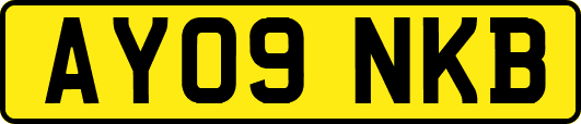 AY09NKB