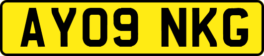 AY09NKG