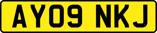 AY09NKJ