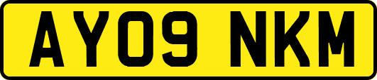 AY09NKM
