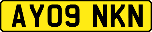 AY09NKN