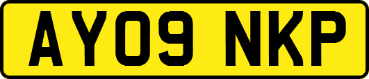 AY09NKP