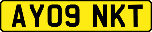 AY09NKT