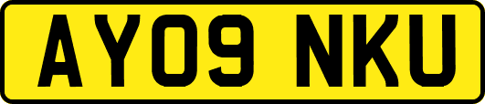 AY09NKU