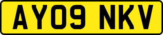 AY09NKV