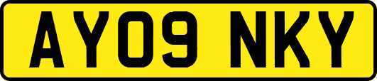 AY09NKY