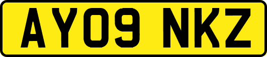 AY09NKZ