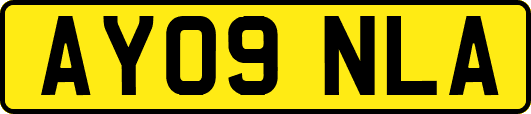 AY09NLA
