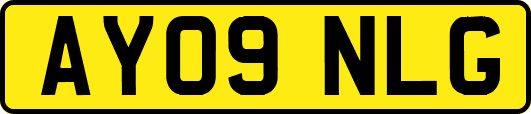 AY09NLG