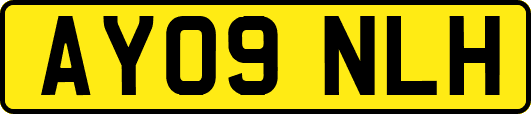 AY09NLH
