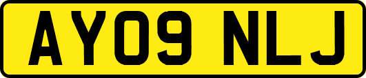 AY09NLJ
