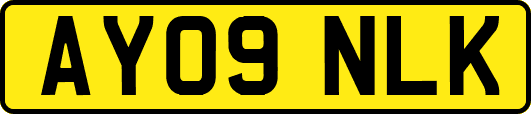 AY09NLK