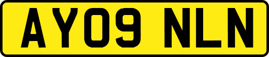 AY09NLN