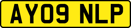 AY09NLP