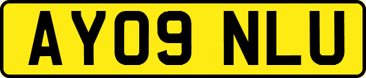 AY09NLU