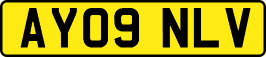 AY09NLV