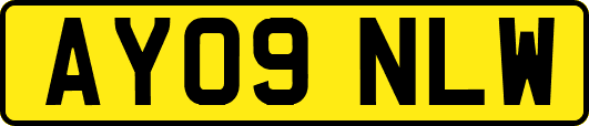 AY09NLW
