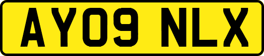 AY09NLX