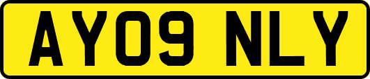 AY09NLY