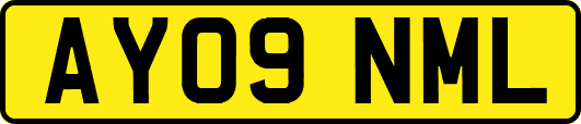 AY09NML