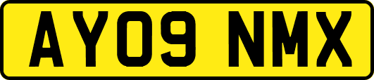 AY09NMX
