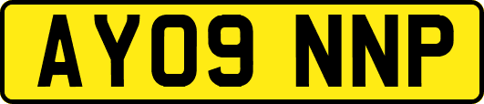 AY09NNP