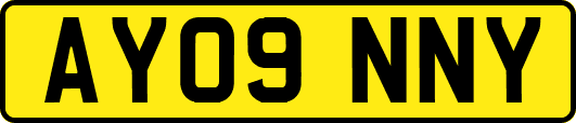 AY09NNY