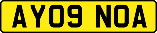 AY09NOA