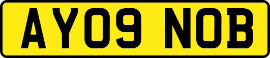 AY09NOB