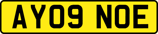 AY09NOE