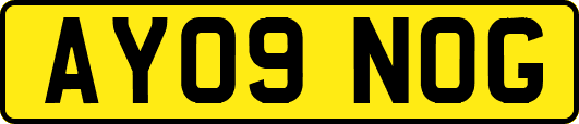 AY09NOG