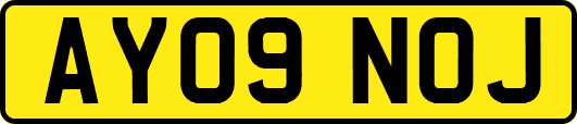 AY09NOJ