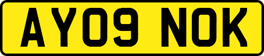 AY09NOK