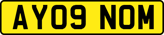 AY09NOM