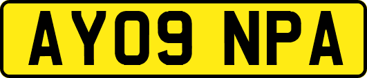 AY09NPA