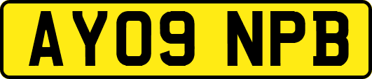 AY09NPB