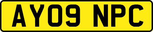 AY09NPC