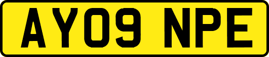 AY09NPE