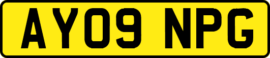 AY09NPG