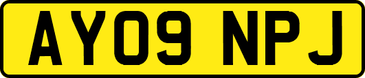 AY09NPJ