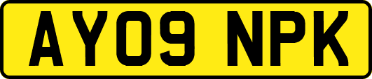 AY09NPK
