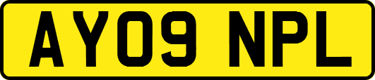 AY09NPL