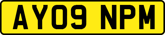 AY09NPM