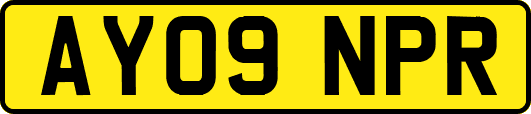 AY09NPR