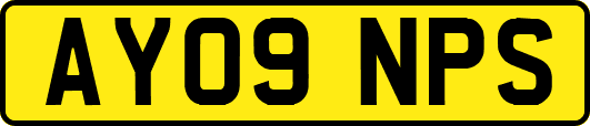 AY09NPS